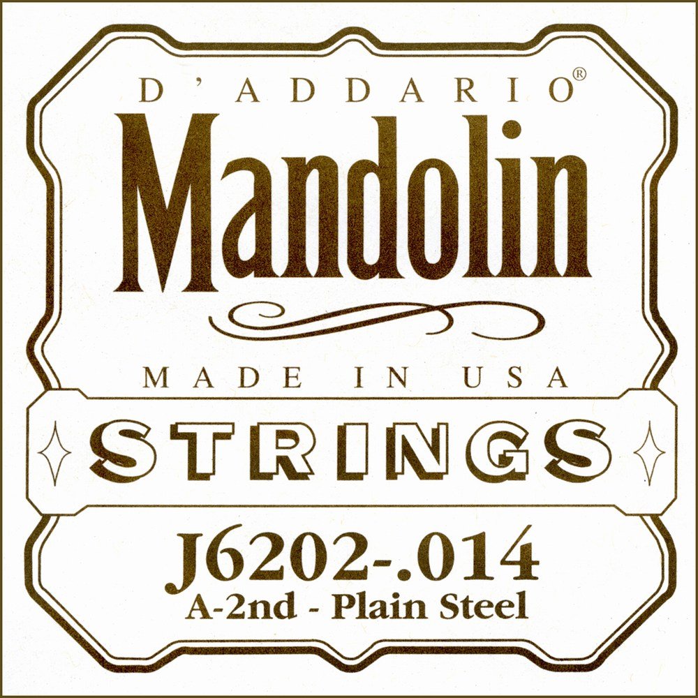 D'Addario J6202 .014 Plain Steel Single String for Mandolin