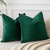 JUSPURBET Dark Green Throw Pillow Covers Set of 2 Decorative Velvet Pillow Covers for Couch Sofa Bed Soft Cushion Covers Cases with Invisible Zipper for Living Room Home Decor 24x24 inch