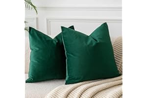 JUSPURBET Dark Green Throw Pillow Covers Set of 2 Decorative 22x22 Velvet Pillow Covers for Couch Sofa Bed Soft Cushion Covers Cases with Invisible Zipper for Living Room Home Decor