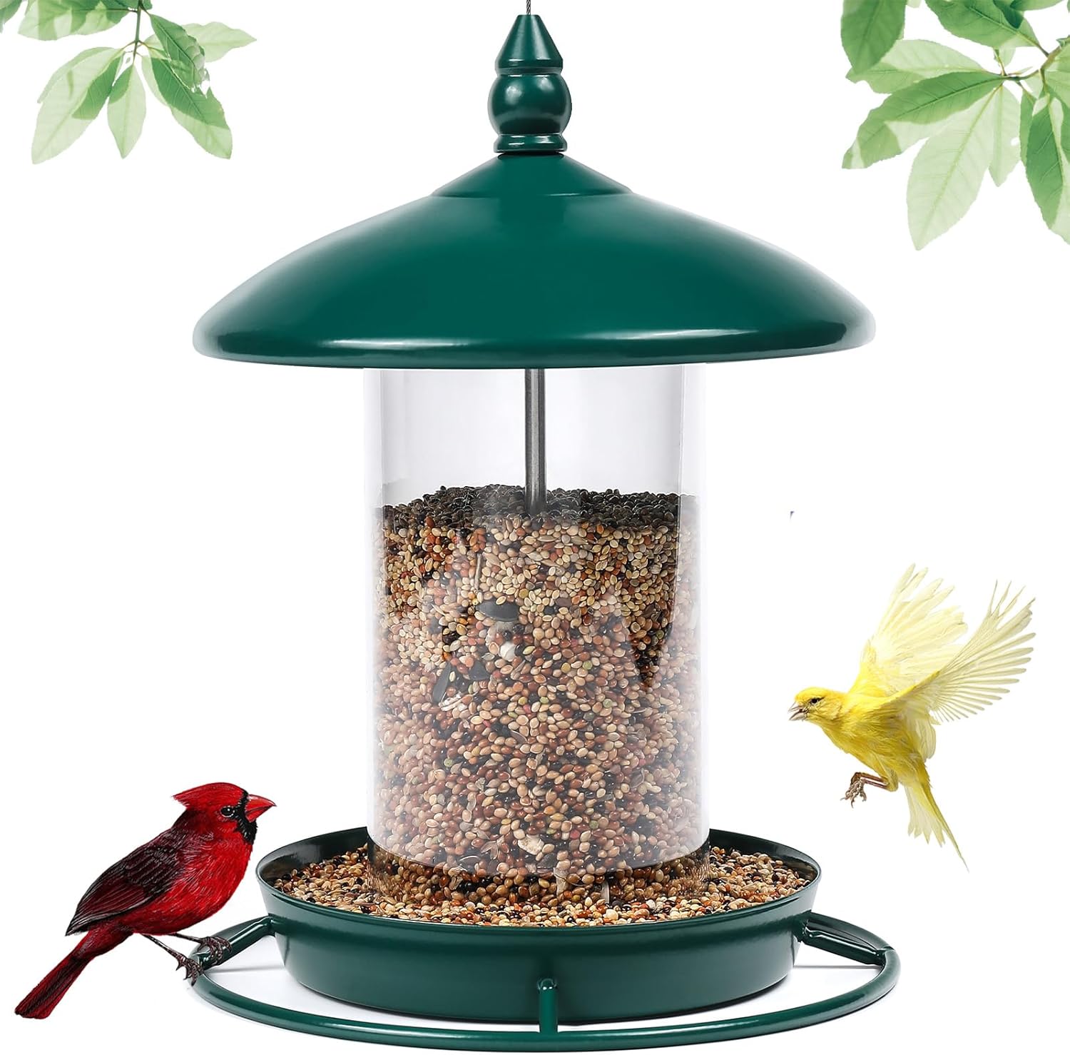 Backyard Birding & Wildlife - Bird Feeders for Outside,Bird Feeder Holds 1.52LB Seeds,Metal Bird Feeder for Outdoors Hanging,Wild Bird Feeder for Outdoor Garden. Green