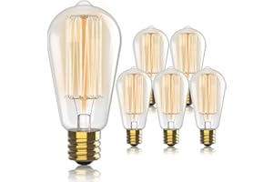 HUDSON BULB CO. Vintage Edison Incandescent Light Bulbs - 6-Pack 60W, E26/E27, Dimmable 2100K Antique Filament Lamp - ST64 Squirrel Design for Indoor & Outdoor Use