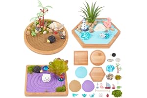 WEBEEDY Japanese Miniature Zen Garden Kit Miniature Ocean Beach Sandbox Decorations Mini Zen Garden Accessories for Christmas Home Office Desktop Decor Gift,Diameter 4/4.2/4.4"(10/10.5/11cm)