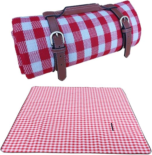 23+ Picnic Blanket Material Pictures