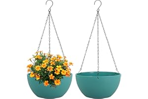 Meowell 8 inch Small Hanging Planters Plant Pots for Indoor Outdoor Plants, 2 Pack Hanging Flower Pots with Drainage Holes and Chain for Garden, Plastic Hanging Baskets for House Plants, Blue Green