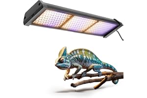 ECKPO Dimmable LED Reptile UVB Lamp, 8000 Hours UVB Duration for Much Longer Lifespan, Adjustable 4/8/12-Hour Cycles, Suitabl
