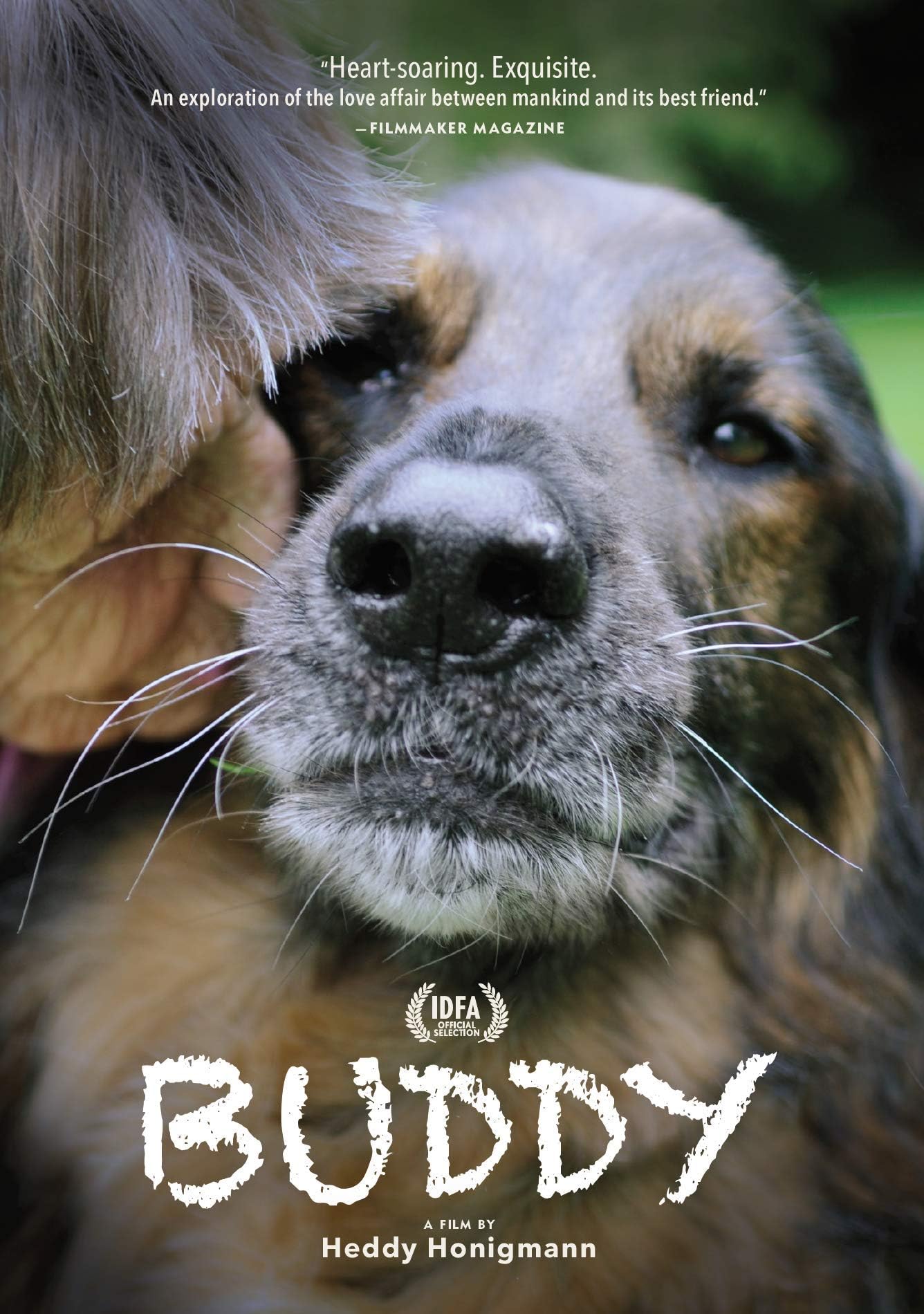 Buddy