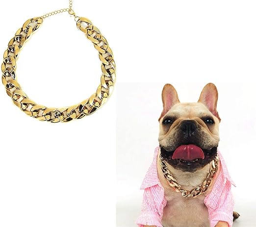 small dog gold chain