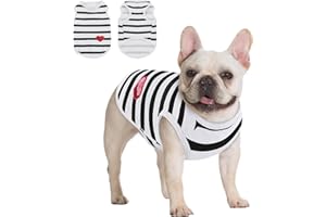 Queenmore Small Dog Shirt,Soft Breathable Dog Shirt for Dogs Cats Boy Girl,Pet Clothes for All Season,Breathable Lightweight Pet Tshirt for Frenchie, Dachshund, Yorkie