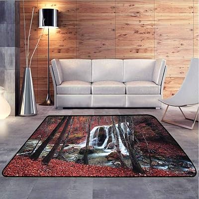 Home Decor Rugs Cascade Misty Fall Day Shedding Leaf Ireland Ubuy
