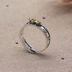 HETICA Feng Shui Pixiu Mantra Amulet Lucky