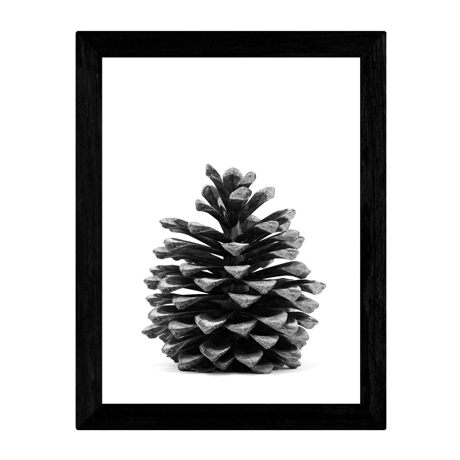 Nacnic Pinecone sheet in A3 size, black and white poster Frameless