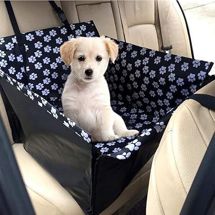 amazon siege auto chien