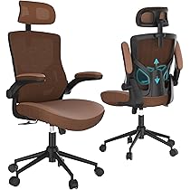 Amazon.com: Home Office Chair, Ergonomic Comfy Desk Chair