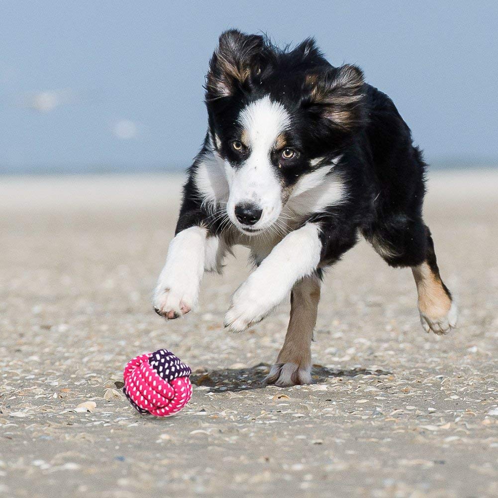 Ciaoed Hundespielzeug für Aggressive Hundekauen-Spielwarengeschenke Interessanter Hund wechselwirkendes Spielwaren für Kleine mittlere große