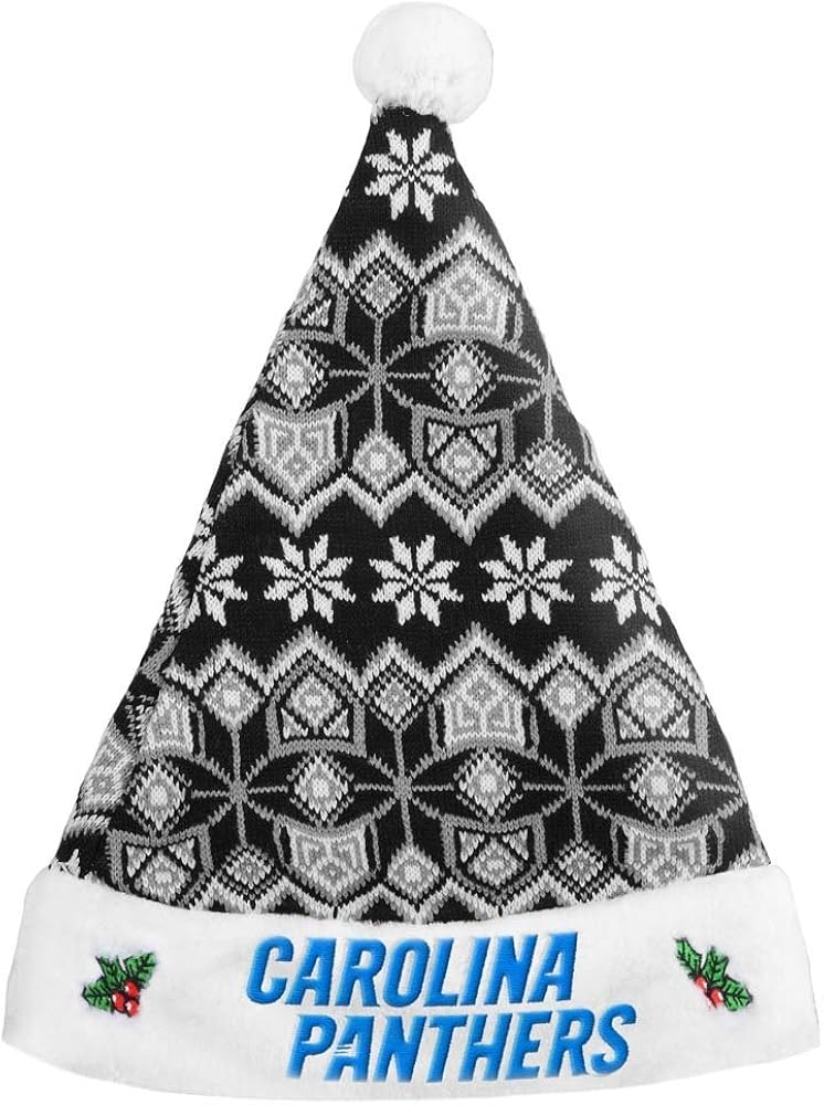 carolina panthers santa hat