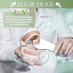 10 Pieces Dental Mouth Mirror Occlusal Reflector