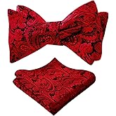 Alizeal Mens 2pcs Paisley Jacquard Self-Tie Bow Tie Pocket Square Set