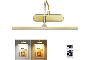 RAIFOOLLY Picture Light,3AA Battery Art Lights for Paintings,Wireless Wall Lighting,Remote Control Accent Light with Timer and Dimmable for Frame,Portrait,Dartboard-Gold