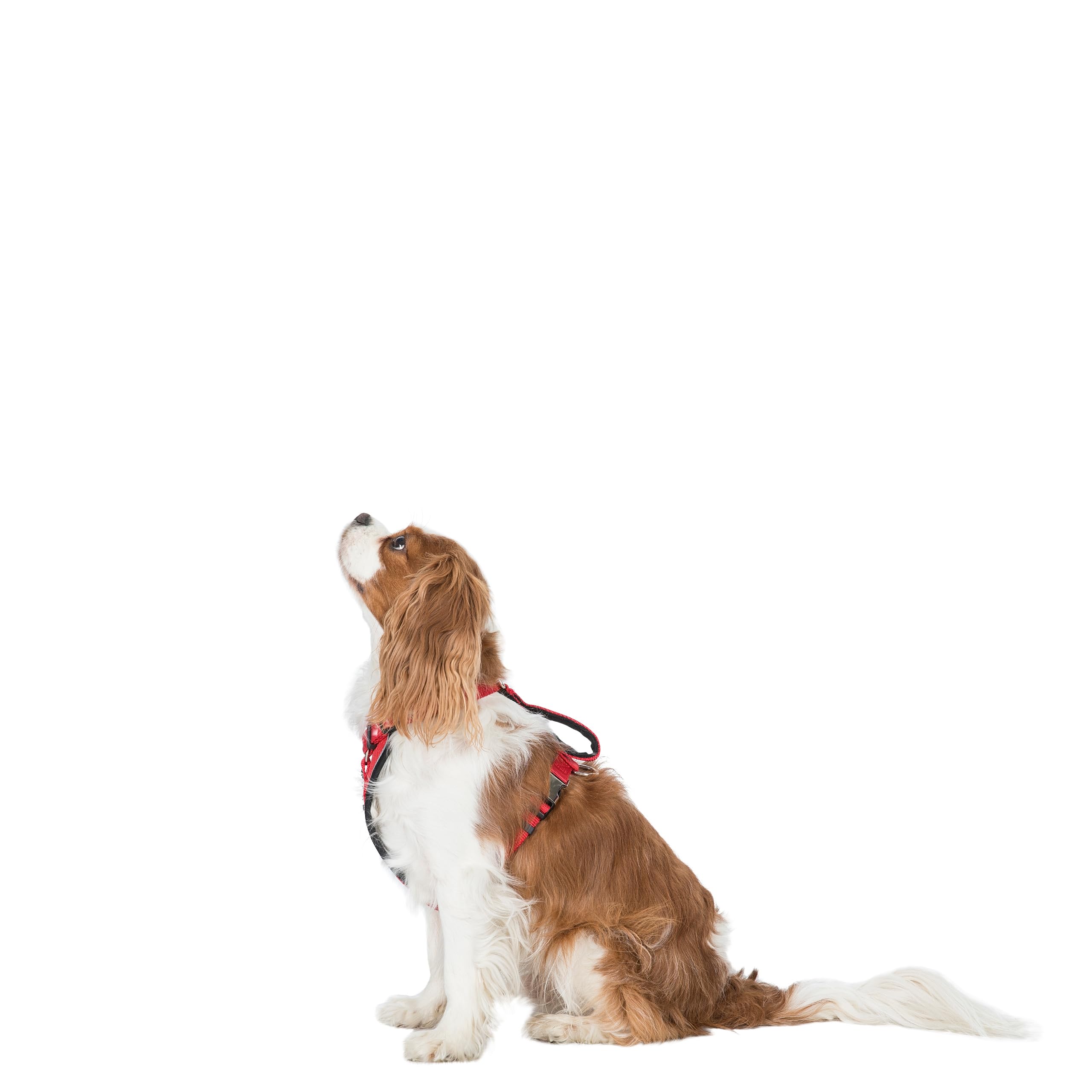 Trespaws Dog Harness Reflective Binding Side Release Buckles Tanked