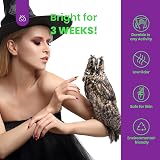 Beetles Gel Polish Hocus Pocus Collection Autumn Winter Nail Set 10 Colors view 6