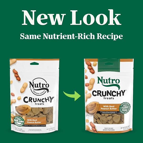 NUTRO CRUNCHY DOG TREATS WITH REAL PEANUT BUTTER, TRAINING TREATS FOR DOGS, 10 OZ. BAG