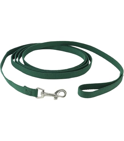 OmniPet Leather Brothers 20-Fuß Hundeleine – 5/8 Zoll Baumwolle, Klein, Schwarz