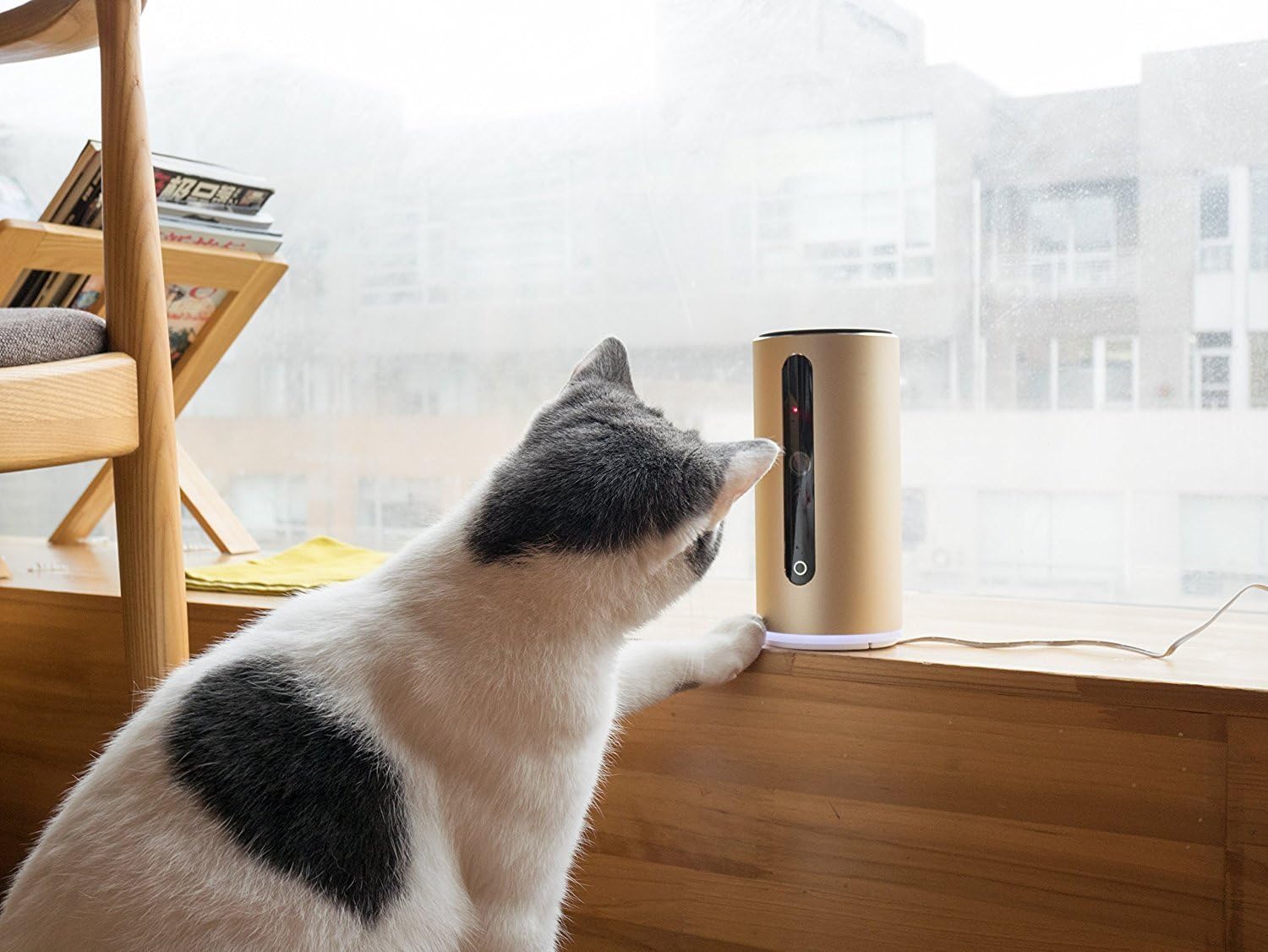 smart pet monitor