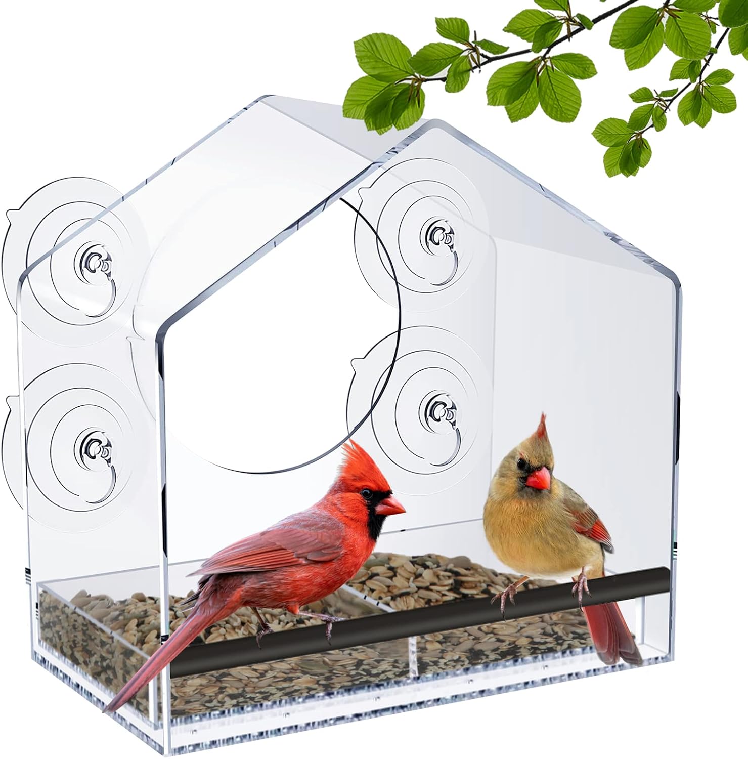 Backyard Birding & Wildlife - Clear Window Bird Feeder for Outside,Window Bird Feeders with Strong Suction Cups,Large Transparent with Seed Holder and Drain Holes,Great Bird Watching Gifts