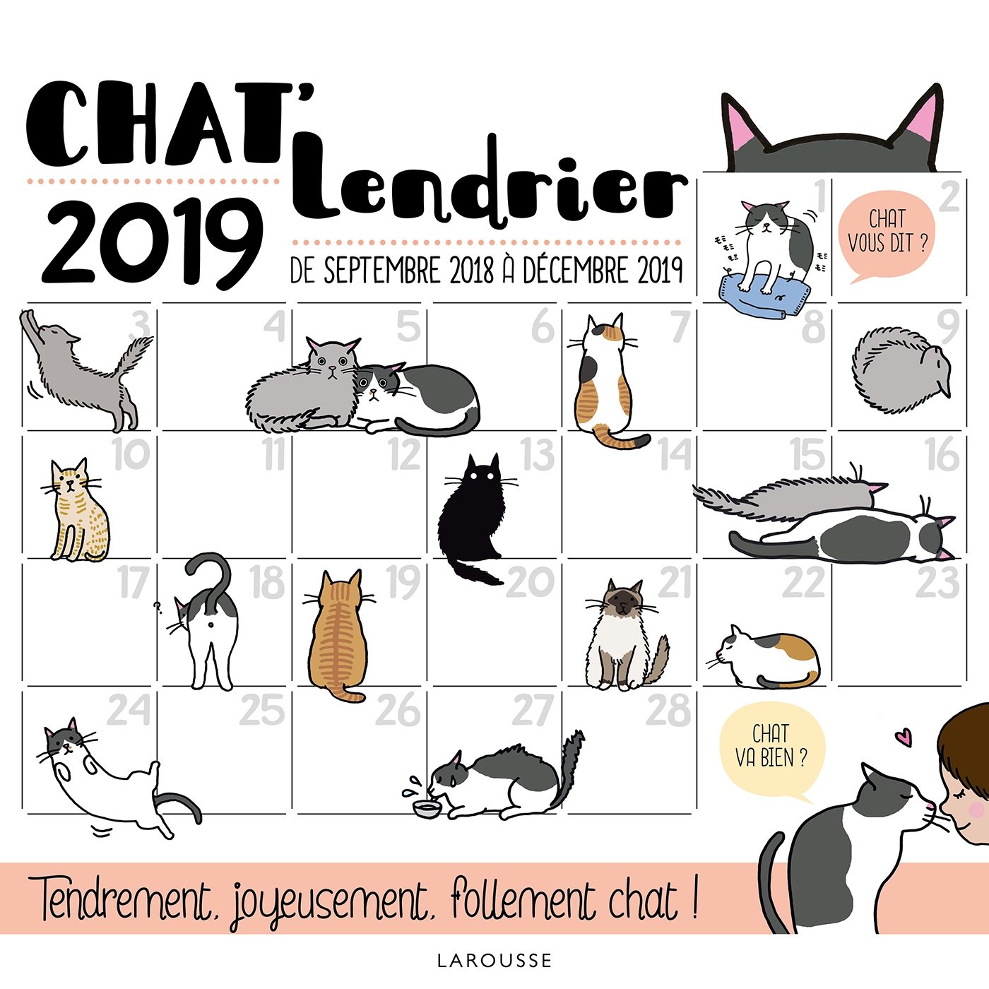 Chat' lendrier 2019