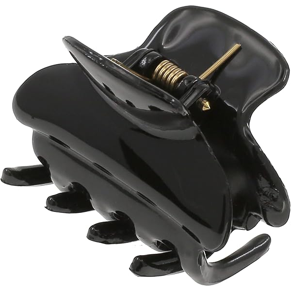 Amazon.com: Alexandre de Paris Women's Les Liserai Hair Clip