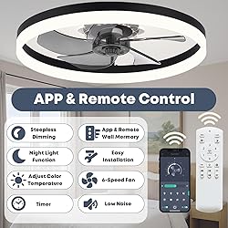 Fszdorj 23.6'' Ceiling Fan with Light, Upgraded Low