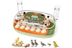 SINDARHOR Incubators for Hatching Eggs, 24 Egg Incubator, Egg Incubator with Automatic Egg Turning and Humidity Control, Candler, Easy to Use Poultry Hatcher for Chicken, Duck, Quail, Birds (Green)