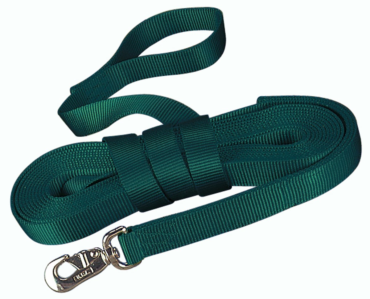 Hamilton Single Thick Nylon Horse Longe Line with Swivel Snap, 1-Inch/26-Feet, Dark Green