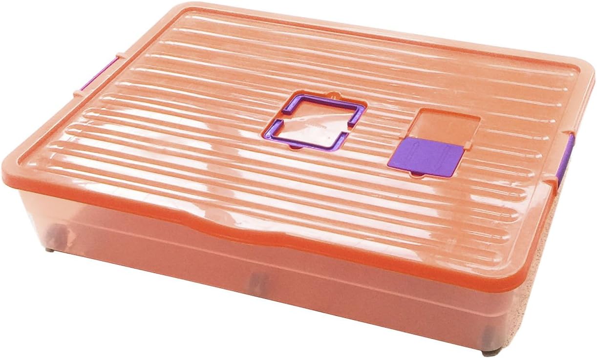 BG Spazio - Caja bajo Cama de 64 litros: Amazon.es: Hogar