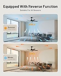 CubiCubi Ceiling Fan, 42" Black Ceiling Fans with