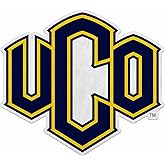 Rico Industries NCAA Central Oklahoma Bronchos Shape Cut Pennant - Home and Living Room Décor - Soft Felt EZ to Hang