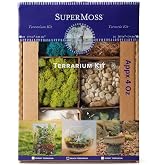 SuperMoss (90422) Beach Terrarium DIY Kit &ndash; Create Stunning Nature-Inspired Mini Gardens &ndash; Perfect for Home Decor, Office Gifts, and Plant Lovers, Appx 4 Oz