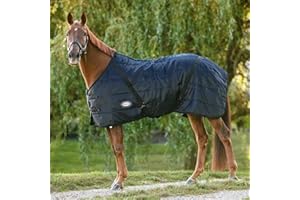 Country Pride Sentinel Channel Quilt Horse Stable Blanket, Midweight Open Front, 420D Nylon Outer Shell, 250g Poly-Fill Insulation, Wither Protection, Adjustable Leg Straps, Bias Surcingle (74,Black)