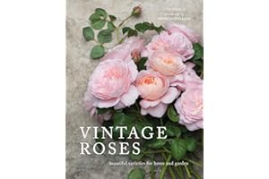 Vintage Roses: Beautiful Varieties for Home and Garden