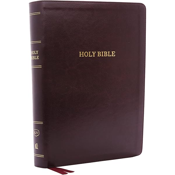 HOLY BIBLE Reference Edition King James Version Words of Christ In