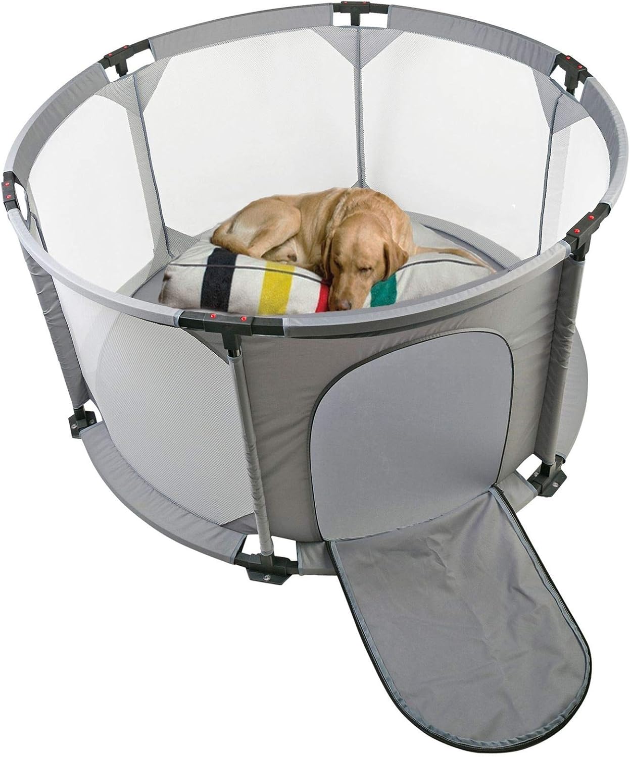 how many dog years is one human year