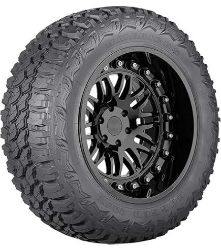 「行山」 Amazon.com: Yokohama Parada Spec-X 285/45R22 114V Passenger