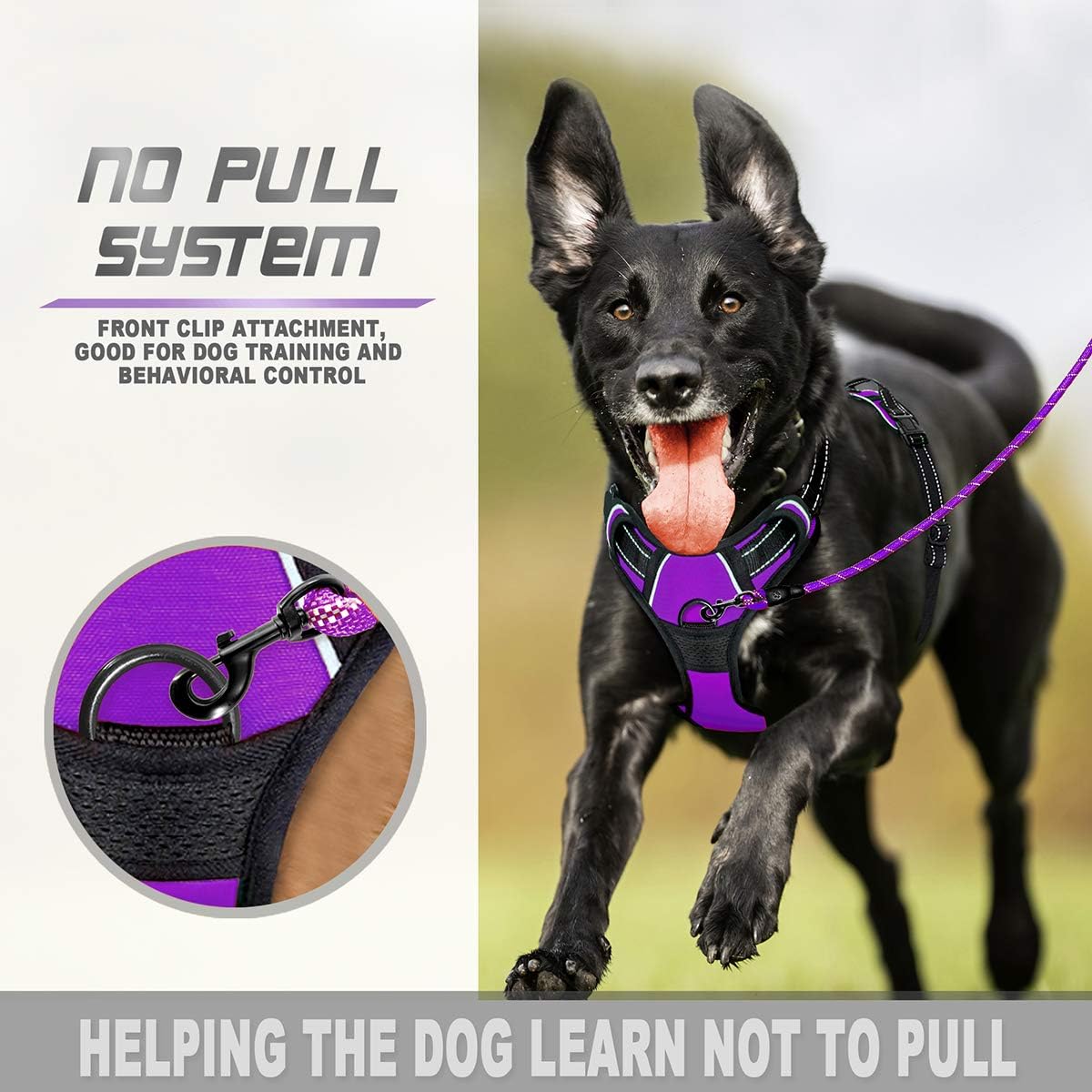 BARKBAY No Pull Dog Harness Front Clip Heavy Duty Reflective Easy Control Handle for Small Medium Large Dogs(Purple,L) - Image 4