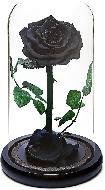 INTIGNIS Black Eternal Forever Rose | Preserved Gift for Women
