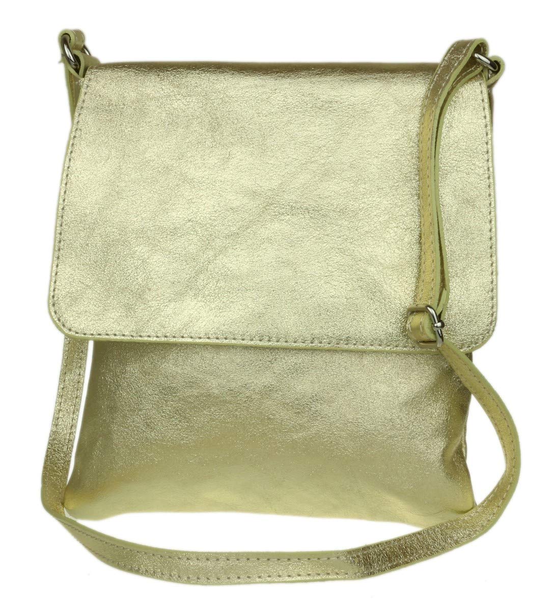 Girly Handbags Womens Crossbody Bag Small Shoulder Handbag with Adjustable Strap, Lightweight Everyday Travel Purse, Multi Pocket Ladies Bag (Metallic Light Gold)