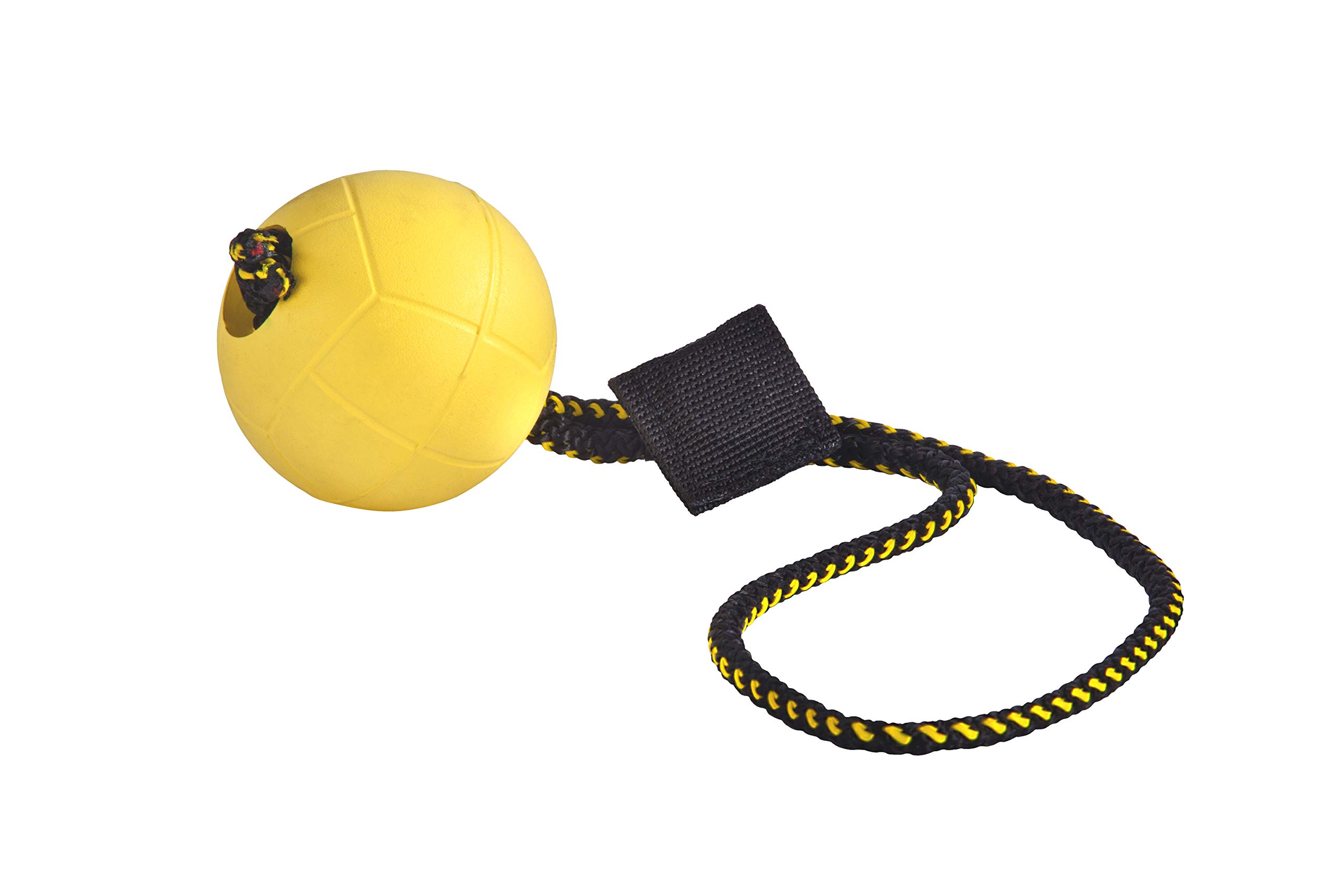 DINGO GEAR WWW.DINGOGEAR.COM 1977 Magnetic Set for the Dog Training: Encased Magnet and Magnet Handle Rubber Ball