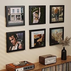 Emfogo 4 Pack Vinyl Record Frame for the