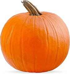 Organic Pumpkin Pie Squash