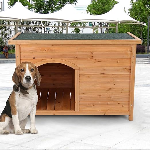 outdoor dog shelter