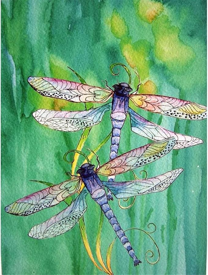 Amazon.com: REYO 1 Cent Item DIY 5D Diamond Painting Dragonfly Crystal